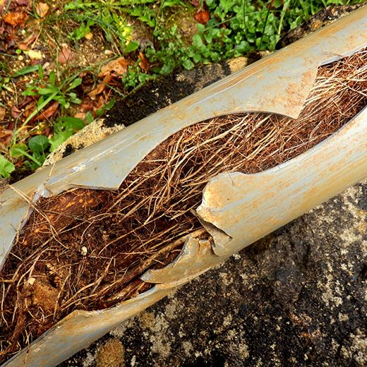 Same Day Drain Sewer & Rooter Pros Across Gilmanton